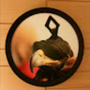 Meet your Posher, Blake